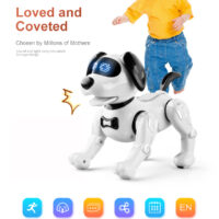 JJR19 robot hund