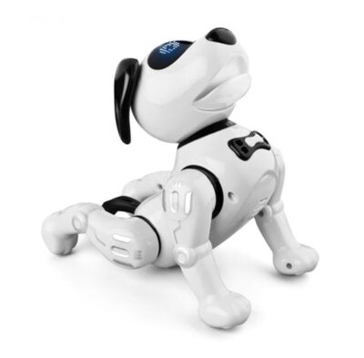 JJR19 robot hund