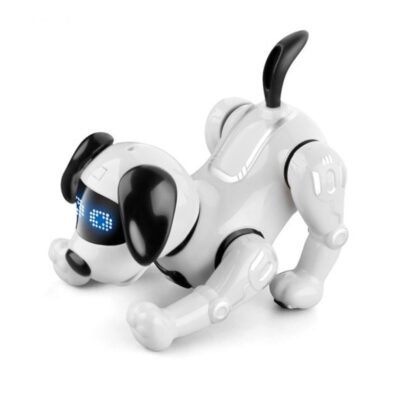 JJR19 robot hund