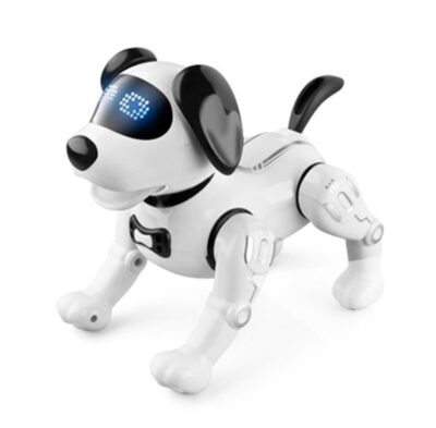 JJR19 robot hund