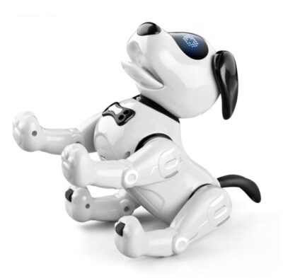 JJR19 robot hund